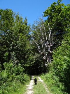 Randonnée Moulin Marquis, Porte du diable