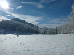 Ski de Randonnée nordique