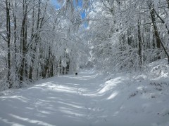 Ski de Randonnée nordique