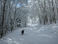 Ski de Randonnée nordique