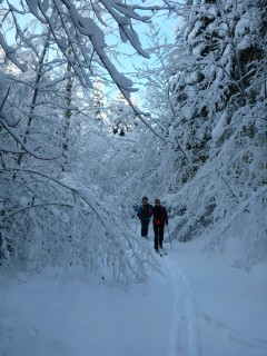 Ski de Randonnée nordique