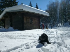Ski rando nordique - Raid 2 jours dans les Coulmes - Vercors