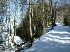 Ski de randonnée nordique - Les Ecouges