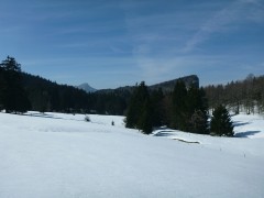 Ski de randonnée nordique - Les Ecouges