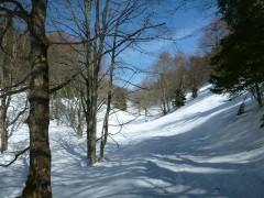 Ski de randonnée nordique - Les Ecouges