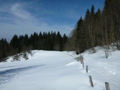Ski de randonnée nordique - Les Ecouges