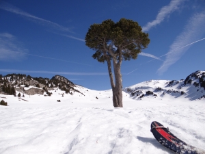 Col du Rousset - Pré Peyret - Cabane de l&#39;Aiguillette