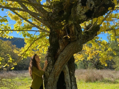 STAGE DE YOGA - "IMMERSION"