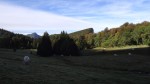 <strong>Espace Naturel Sensible des Ecouges</strong><br />Pâturage Espace Naturel Sensible des Ecouges