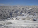 Ski Alpin